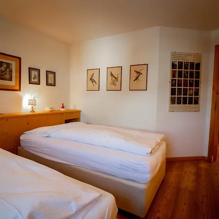 Daire Chesa Amel Sur - Celerina Celerina/Schlarigna