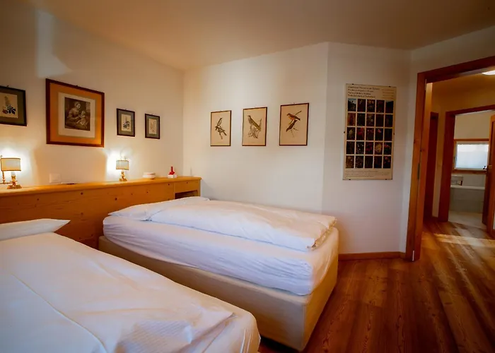 Daire Chesa Amel Sur - Celerina Celerina/Schlarigna